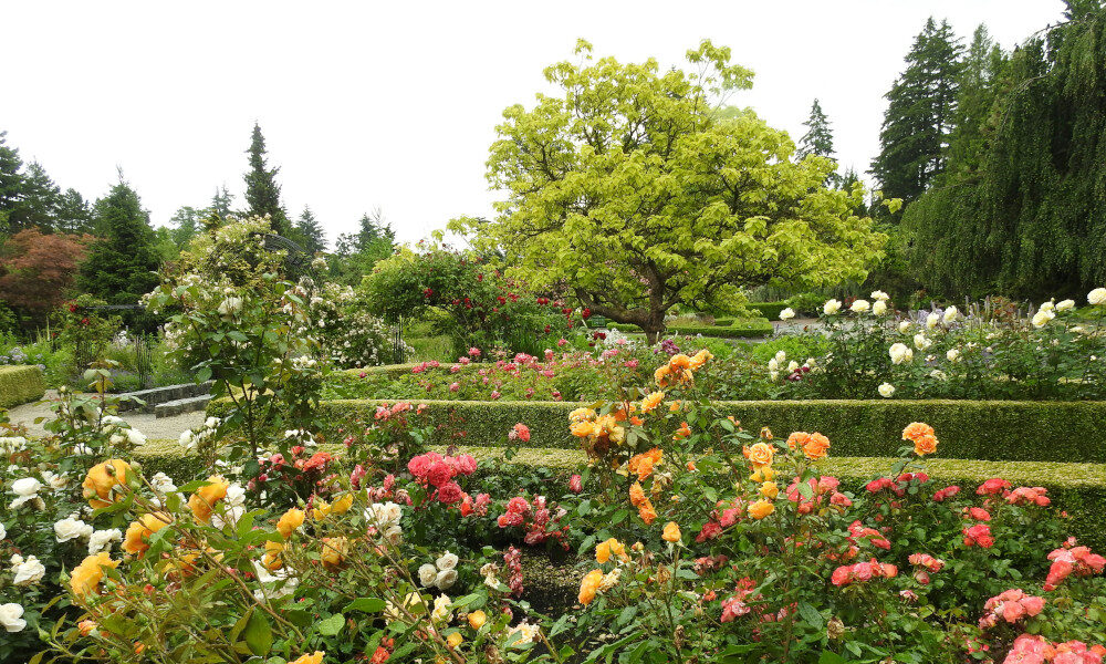 jardin